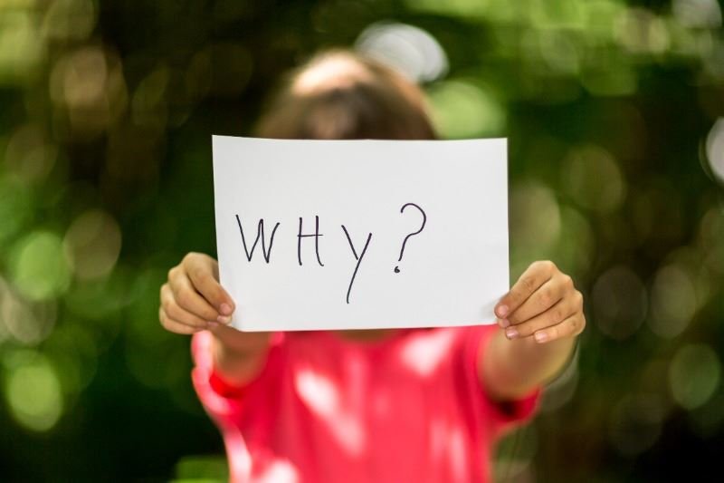 孩子舉著一塊牌子,上面寫著「為什麼?」。