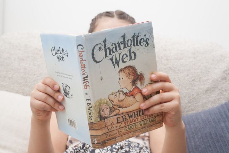 女孩正在讀《夏綠蒂的網》,透過說故事學習英語。